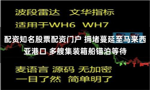 配资知名股票配资门户 拥堵蔓延至马来西亚港口 多艘集装箱船锚泊等待